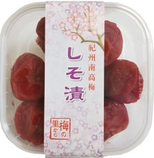 画像3: 季節の巾着：ポインセチア【送料込み】　合計２４０ｇ入 (3)