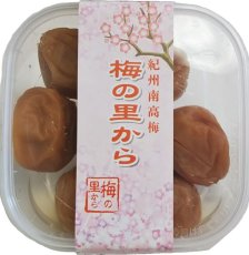 画像2: 季節の巾着：ポインセチア【送料込み】　合計２４０ｇ入 (2)